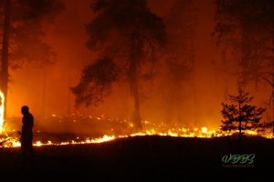 stay-safe-during-wildfire-season